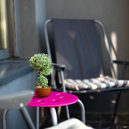 New Garden Condo ベオグラード エクステリア 写真